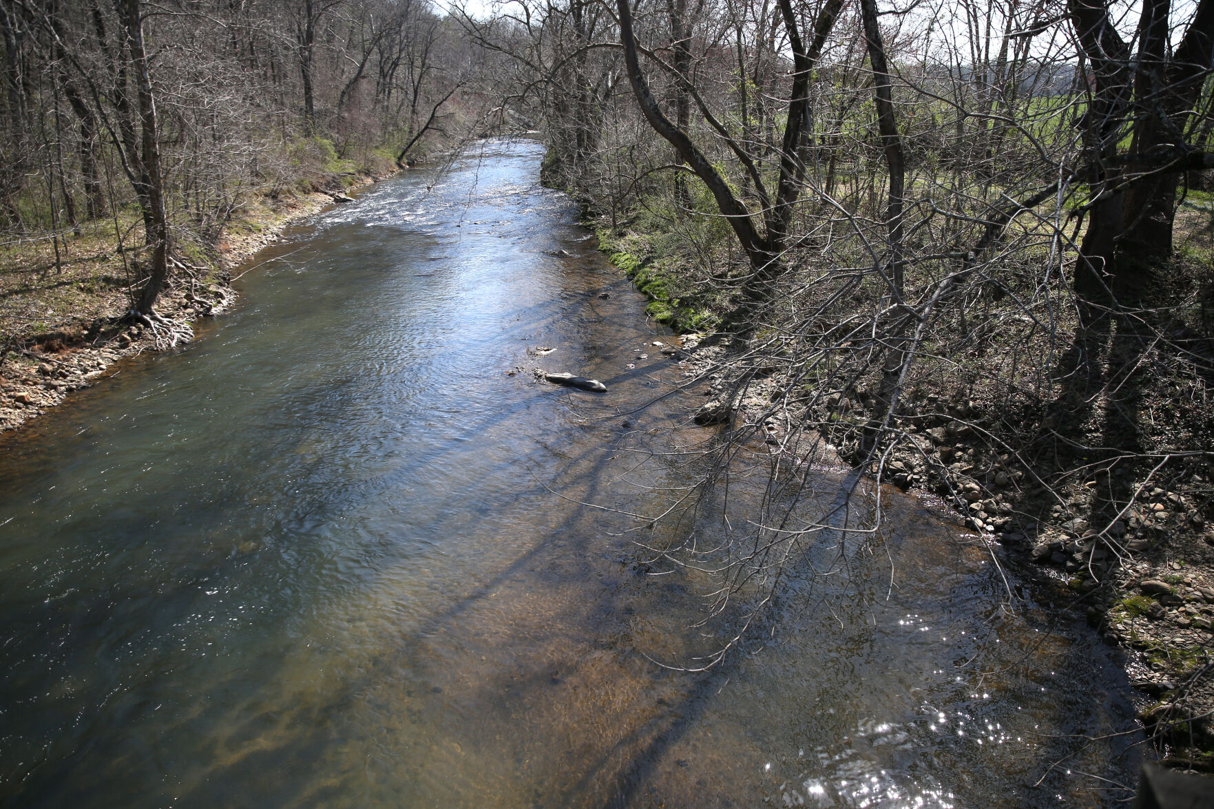 040521-cdp-news-moormansriver748.JPG
